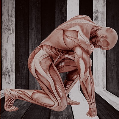 Muscle & Mobility